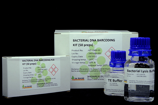 //base-asia.com/wp-content/uploads/2021/11/BacteriaPic.jpg