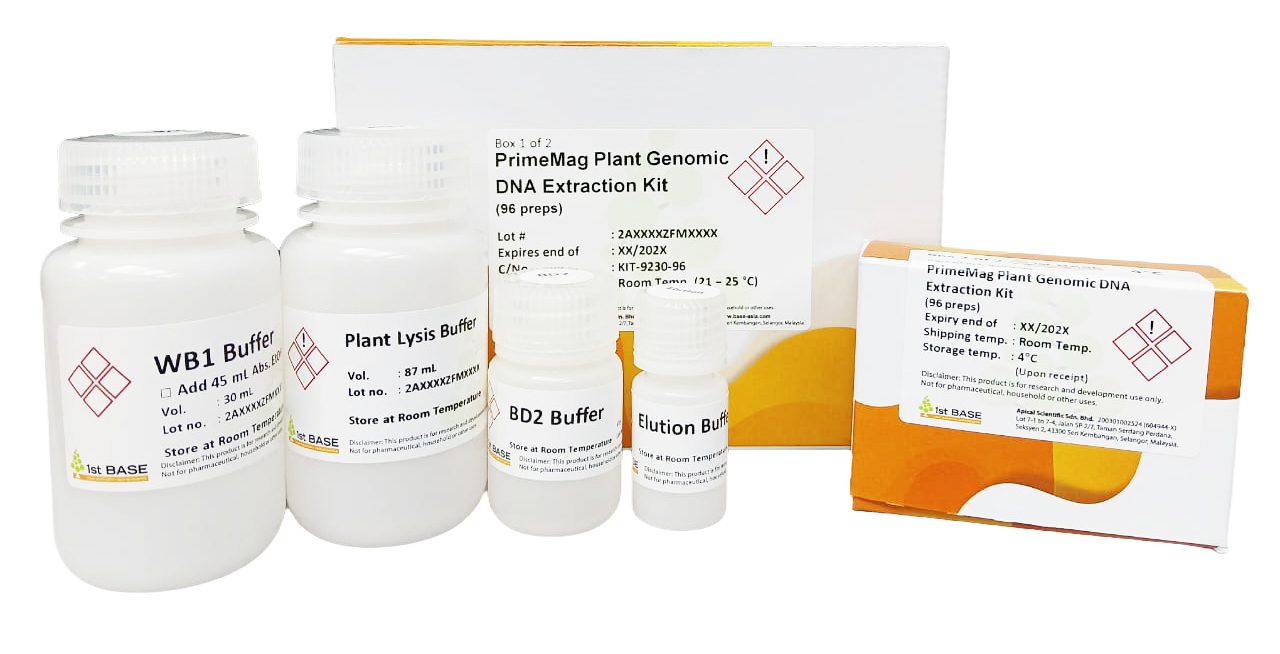 //base-asia.com/wp-content/uploads/2025/12/PrimeMag-Plant-Kit-9230.jpg