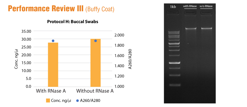 //base-asia.com/wp-content/uploads/2021/09/1st-BASE-PrimeWay-Genomic-DNA-Data-Graph3-1.jpg