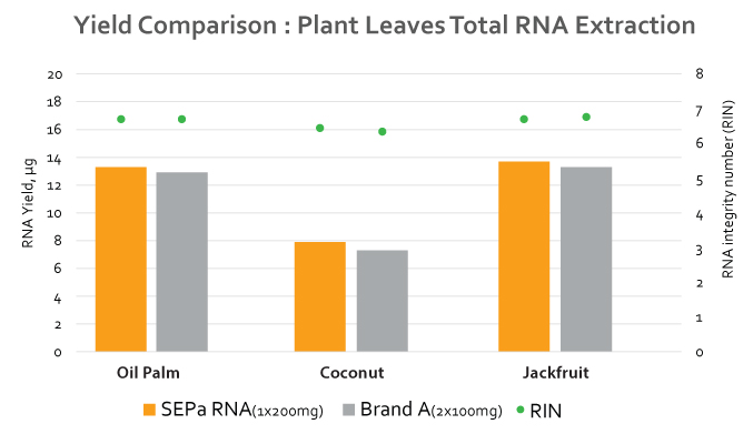 //base-asia.com/wp-content/uploads/2021/09/SEPa-RNA-1.jpg