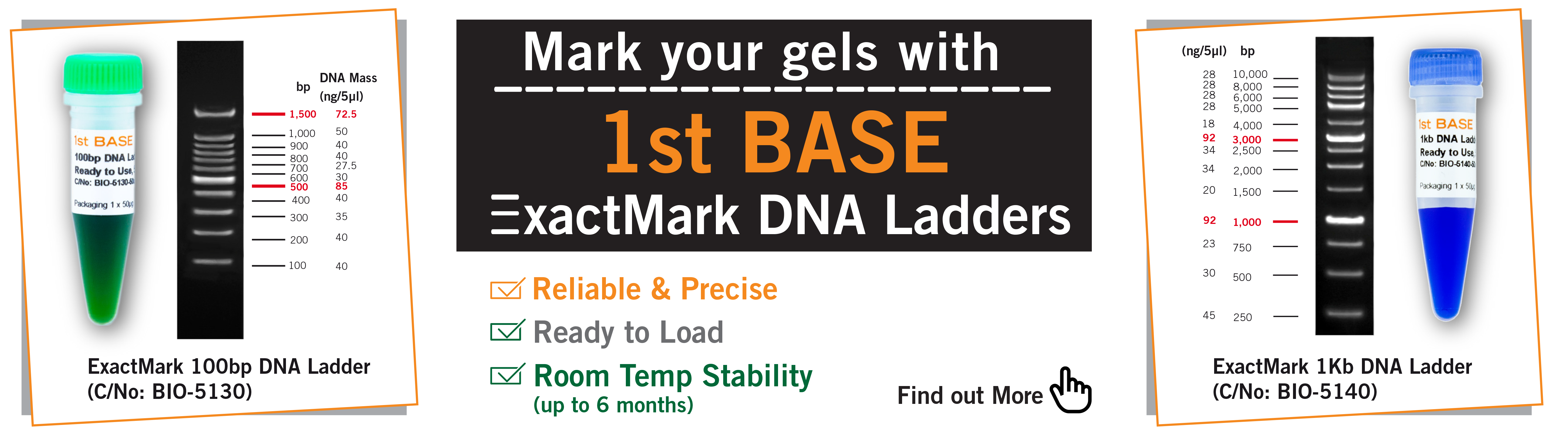 //base-asia.com/wp-content/uploads/2021/10/Exactmark-DNA-Ladder-banner-ed3a.png