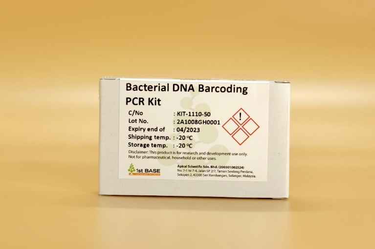 //base-asia.com/wp-content/uploads/2022/01/BACTERIAL-DNA-PCR.jpg