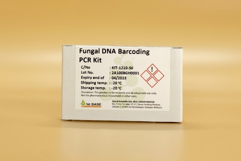 //base-asia.com/wp-content/uploads/2022/01/FUNGAL-DNA-PCR-.jpg