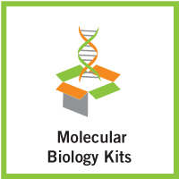 https://base-asia.com/wp-content/uploads/2022/07/Molecular-Biology-Kit-200x200.jpg