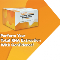 https://base-asia.com/wp-content/uploads/2023/07/1st-BASE-PrimeWay-Total-RNA-Extraction-Kits-Brochure-200x200.jpg