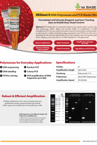 https://base-asia.com/wp-content/uploads/2023/07/New-Reagents-Brochure-REDiant-II_Page_1-scaled-200x300.jpg