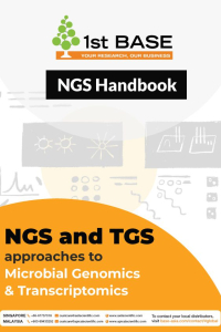 https://base-asia.com/wp-content/uploads/2026/05/NGS-Booklet-INTL-200x300.jpg