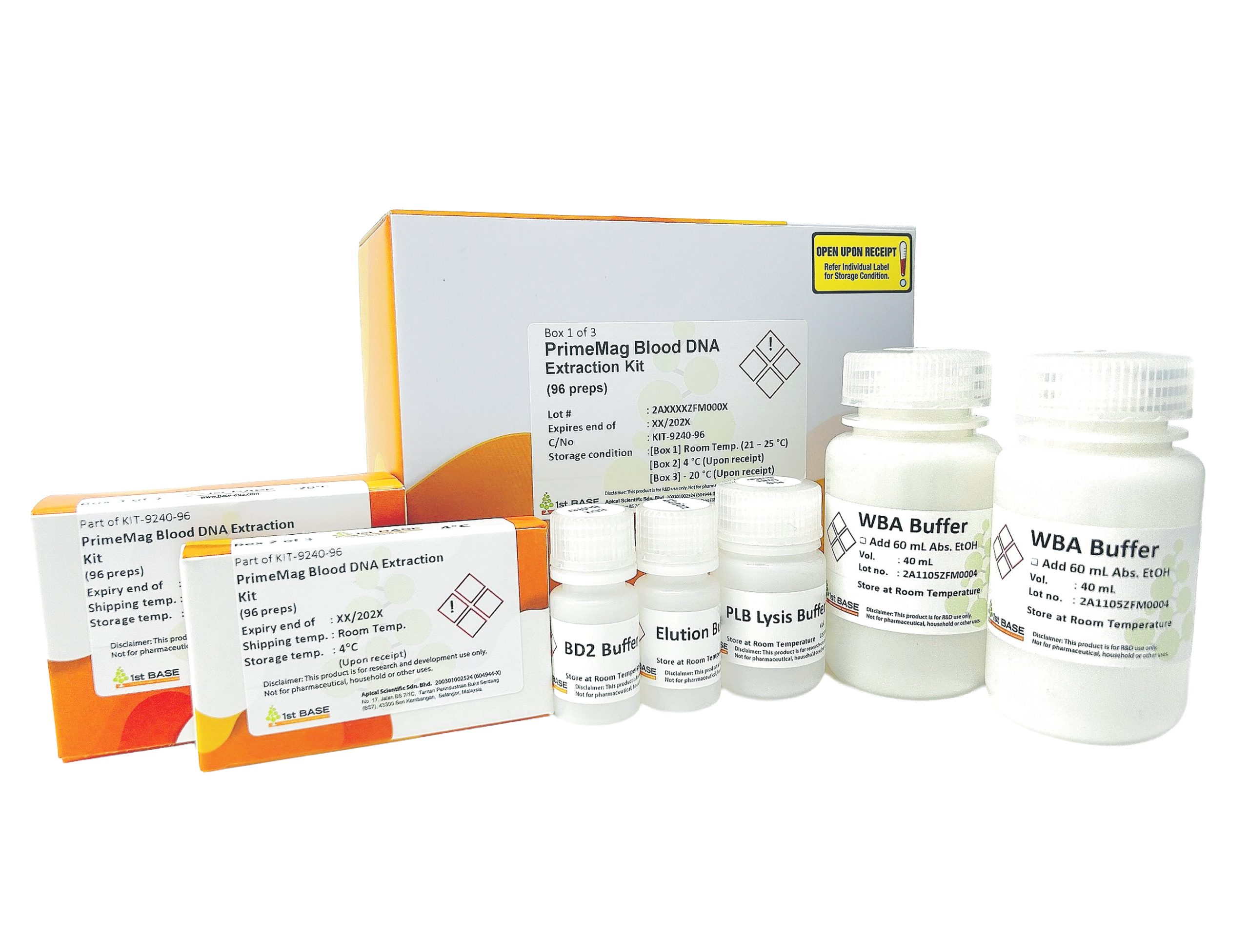 //base-asia.com/wp-content/uploads/2026/09/KIT-9240-scaled.jpg